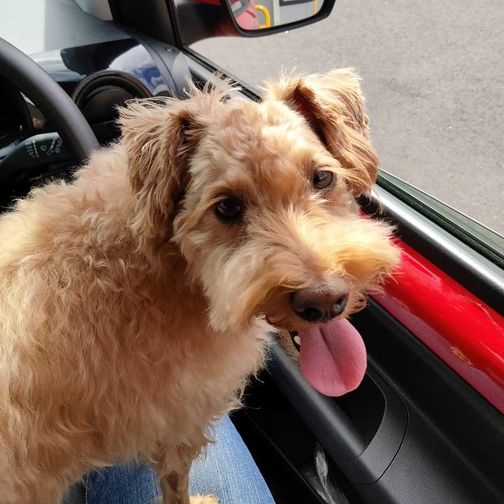 0a0bba24 0515 4b81 87c1 e035fc1f85e6 1595117340982