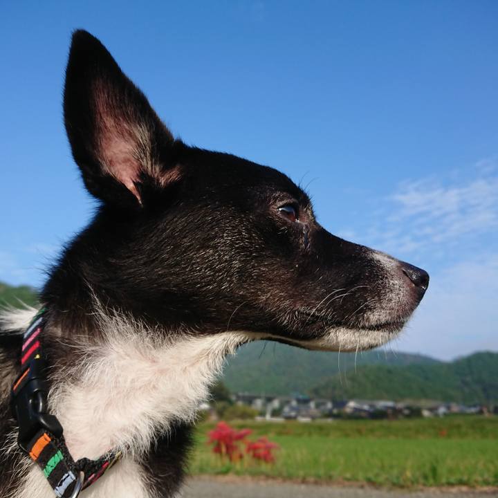 0a0bbc93 cc27 4055 89c9 eb9a91bf9179 1569929135741