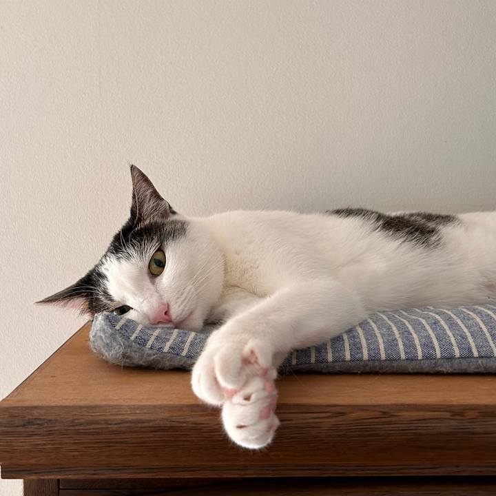 0a0bc350 cd04 42a5 a8d7 53642fa8e7bc 1722725237132