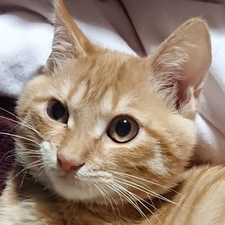 0a0bca6d 1982 44ca 8df2 a1f0eb89c3ee 1634130140621