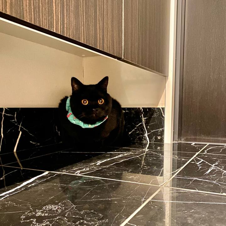 0a0bd7d1 ce69 4c91 b254 eaf33c073438 1666786293190