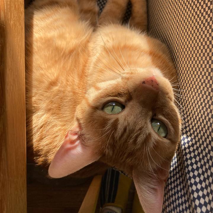 0a0bfa9b 0d53 470e 848d d8eaa5e1c5cb 1672640521309