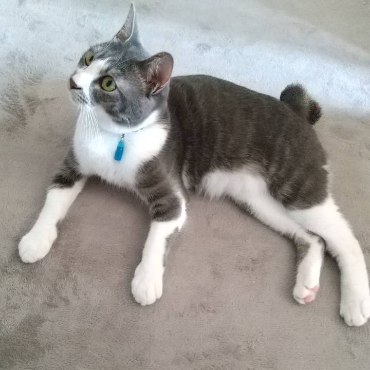 0a0c0f44 bd45 47c8 b677 8397e4d6eb3e 1597884278188