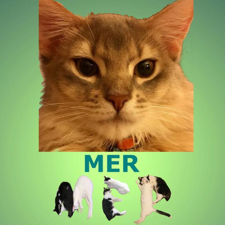 0a0c212b 74de 45db 8e8d 295feb5f887b 1667955141470