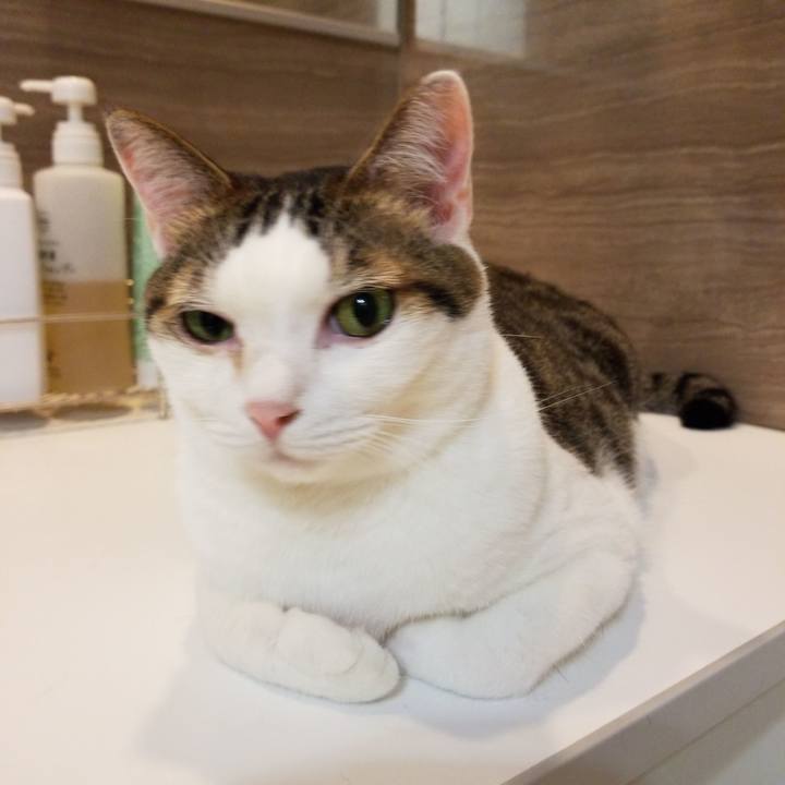 0a0c3718 349a 41ad 9ef0 68fe56020772 1571478085837