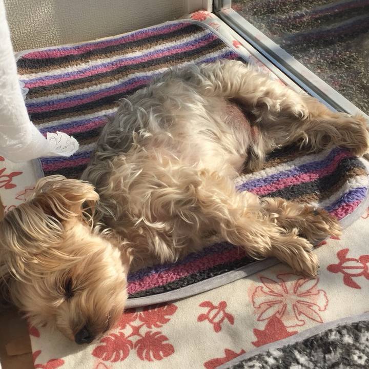 0a0cab3a c0cd 43a7 8cca a8990c924b64 1522628278479