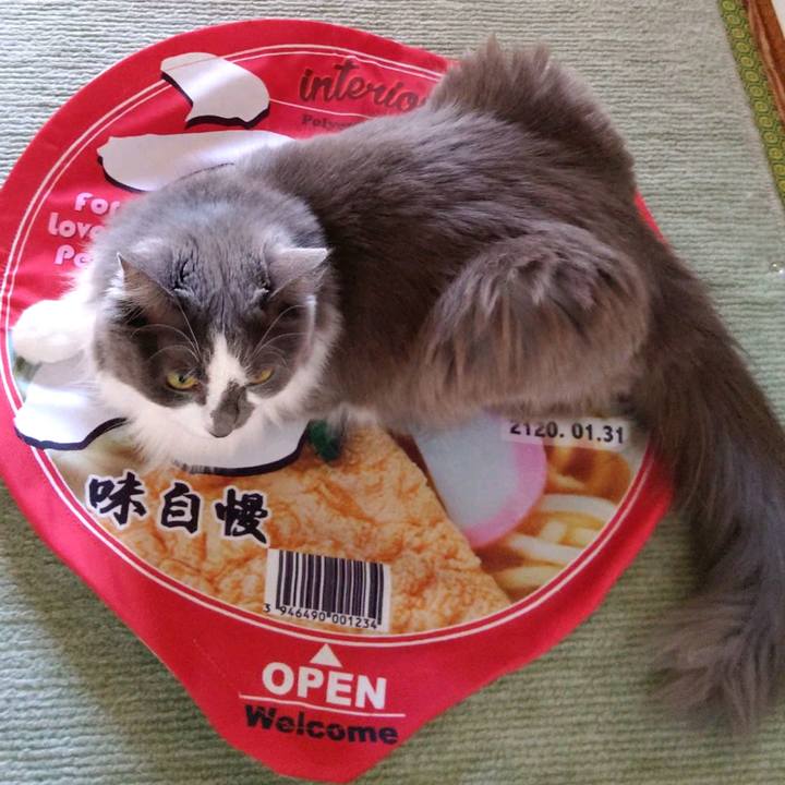 0a0cb664 b1d6 4a30 8e17 98938915ad3a 1600500474129