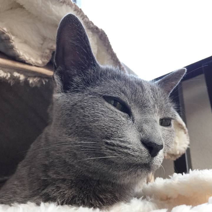 0a0ccefe 170f 4e02 9c4d 59f773f3fd79 1517368626655