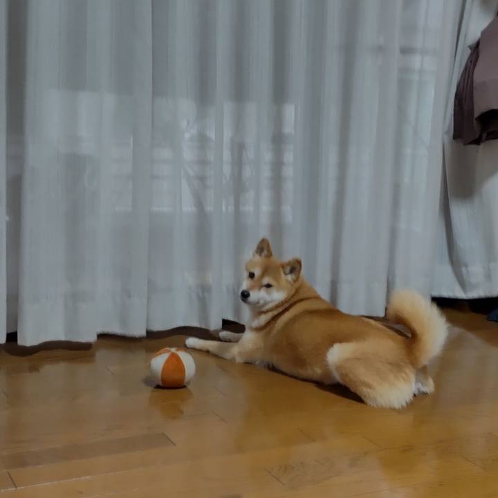 0a0cdf46 179a 412f a1c6 47122ea10134 1741049063239