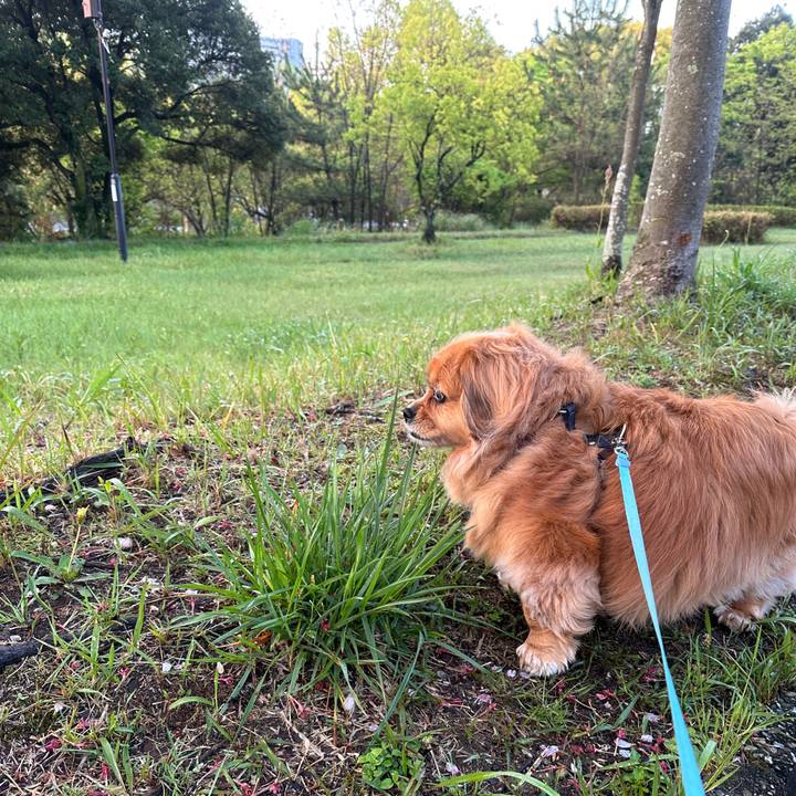 0a0cfa28 f9f2 48c8 88c7 6ac8e3e6ef67 1680902102628