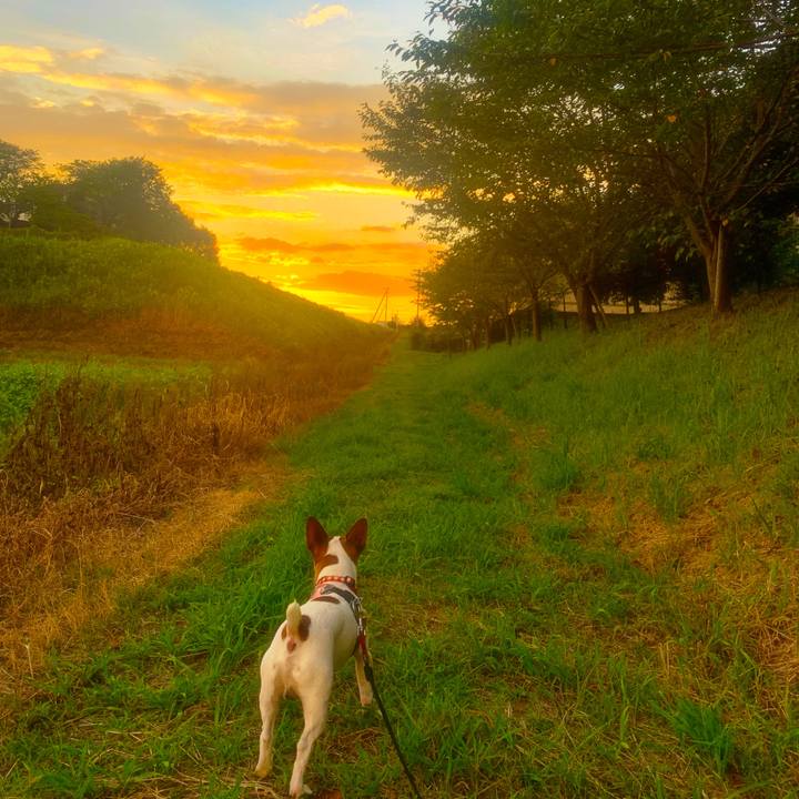 0a0d1293 bf92 42bd aa83 1d00ee99e4bd 1567939852481