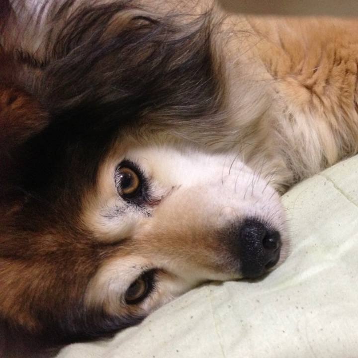 0a0d1d7c 300e 4657 8e88 e7f051c057b7 1602204140832