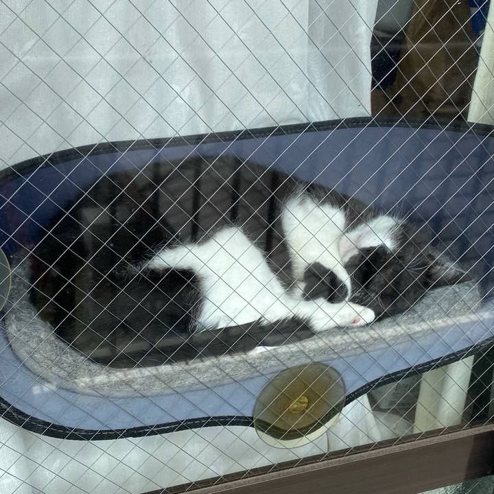 0a0d1e61 092f 465b acad 60b91bd7e9df 1696860569983