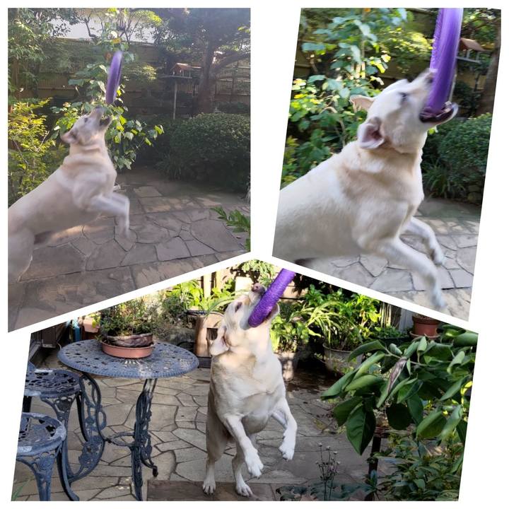 0a0d2103 2a23 4680 9ac8 0ac2499e5c40 1697265593385