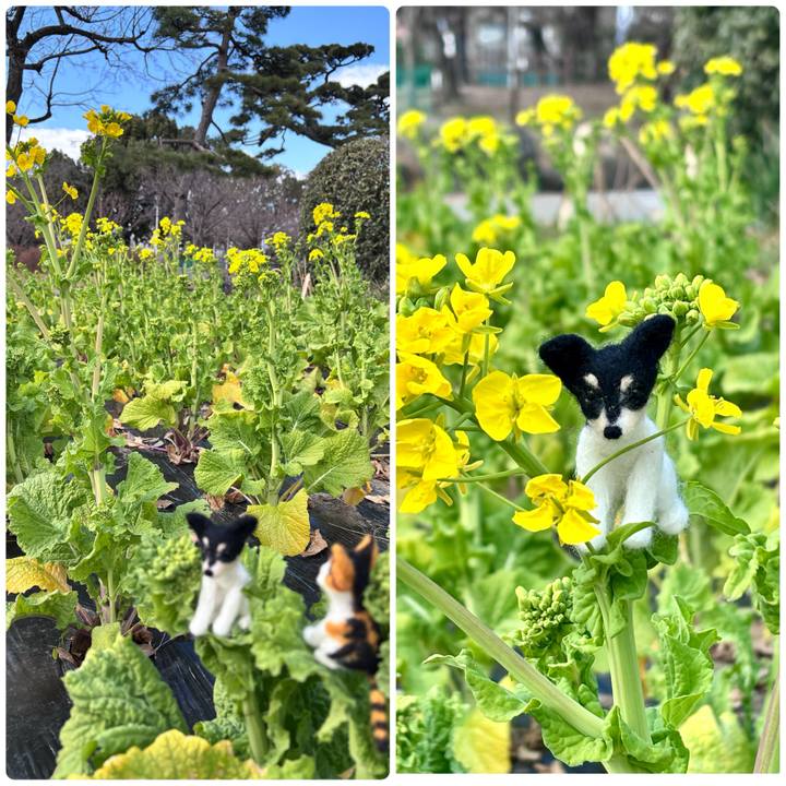 0a0d4b56 18b6 4e29 b318 38cf1b19076f 1737796333315