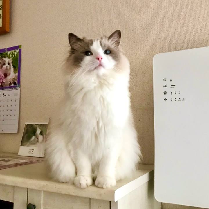 0a0d5cc7 db68 47f0 98f8 2b27cc3d1900 1624796375216