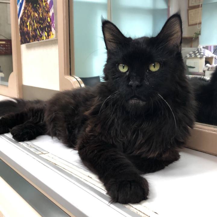 0a0d8d78 d273 47e8 96f2 10530bdaf707 1577839664428