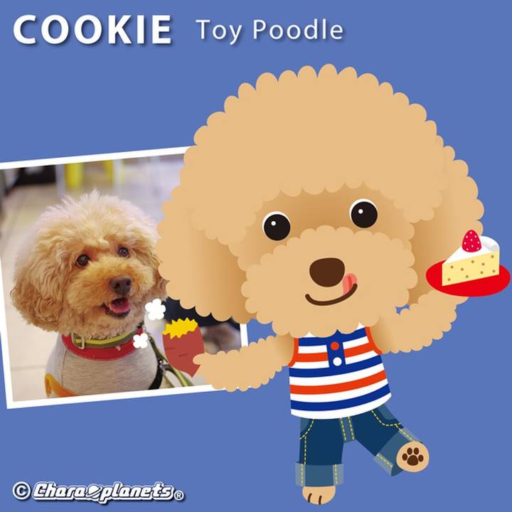 0a0db72a 4e47 4109 9d26 90f24746e018 1563767356863