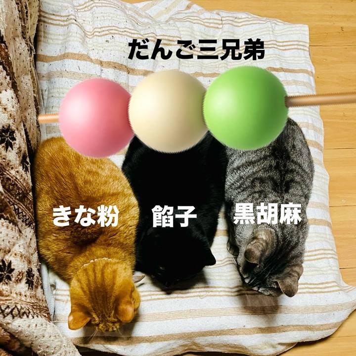 0a0e13d1 8469 4bf4 97e5 e2bac4c9af4f 1771136769627