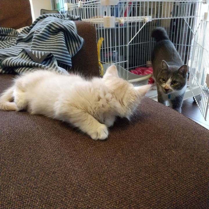 0a0e67a3 cbf4 49b5 8085 ece7b1e73ec4 1602801760828