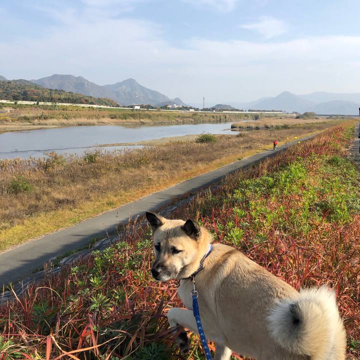 0a0e7413 61b8 4f3c b0c8 904edd803785 1543734475767