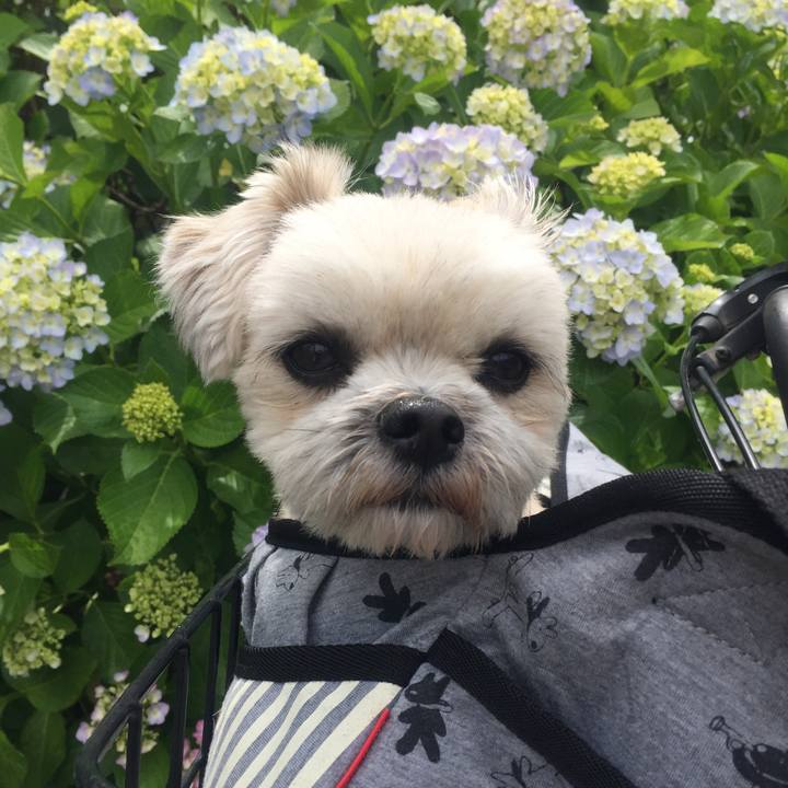 0a0e7d5d a0b3 4999 9bc0 7a3972c10430 1527252008734