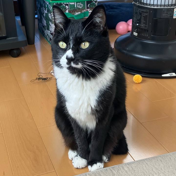 0a0e8e3d 7a66 4a3a 8a61 cb9e225ee24a 1738217268235