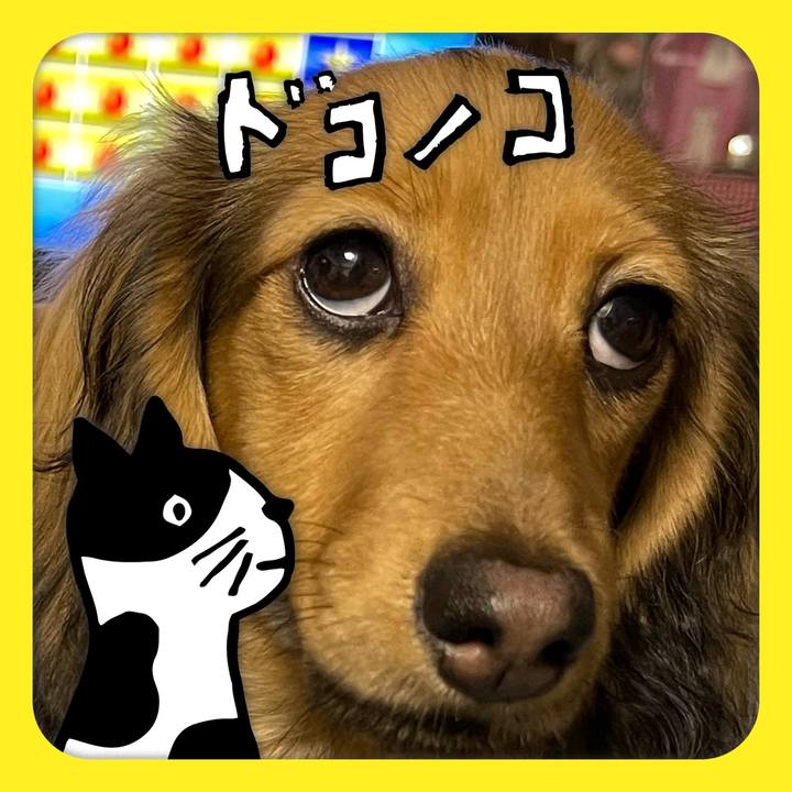 0a0e911a 7bfc 4d44 90d3 8d2f56e8bcc3 1623065123573