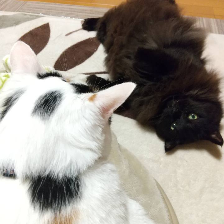 0a0e9bcd 2281 4ce8 aee2 c0d6a40e1667 1604402690242