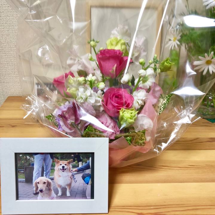 0a0eb7c9 d032 4bd8 8ea5 a9c1317f19be 1519553359716