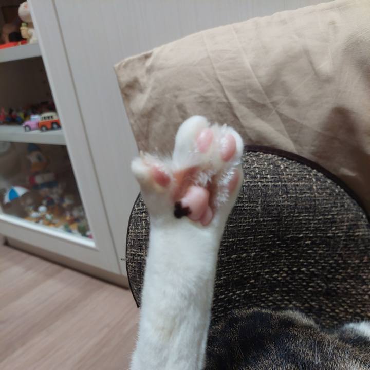 0a0ebad0 339a 43ee af17 e6d0e16fac0a 1626870049436