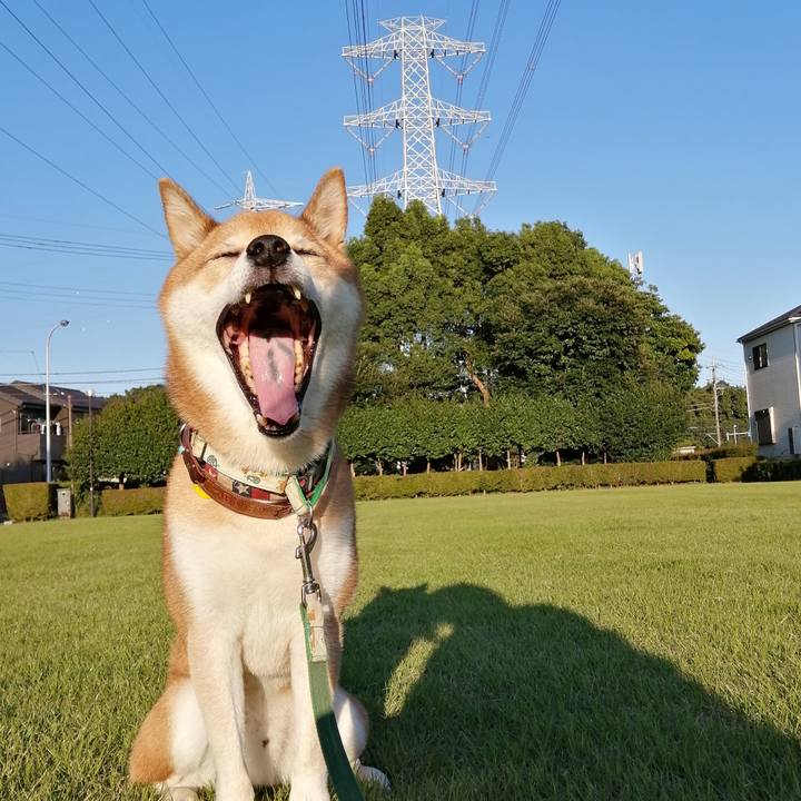 0a0efa71 ae9a 43af a11a a1f4d09f0b5a 1664527948475