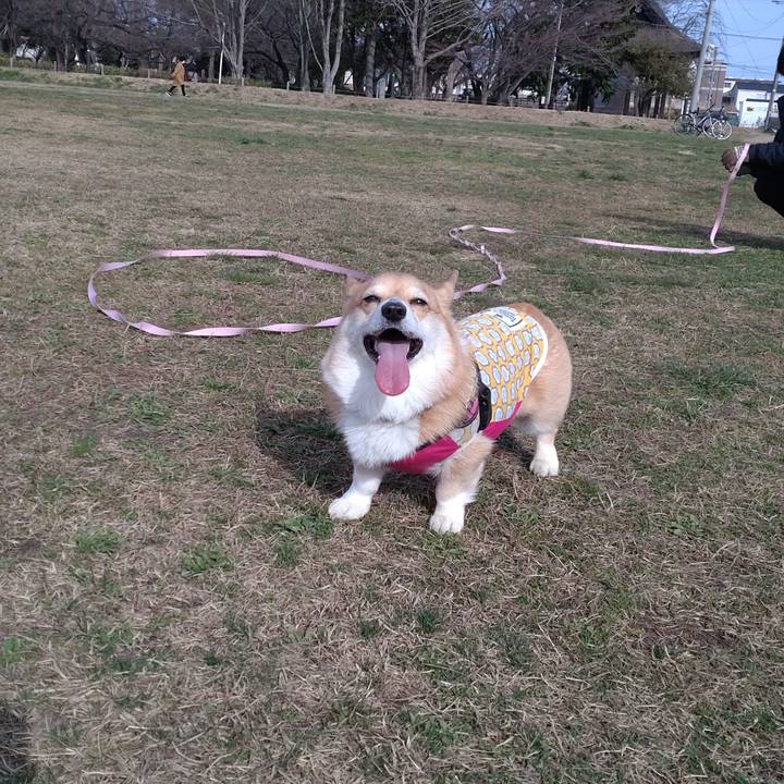 0a0efaf9 1101 4d97 a4ed f67461504e35 1649597011717