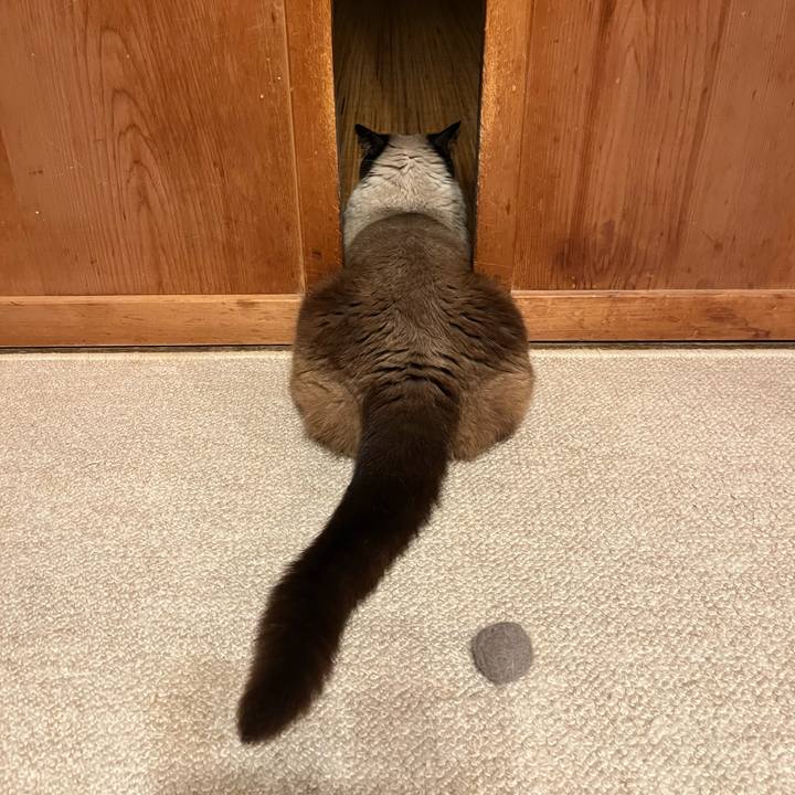 0a0f2c06 af40 4f7f adc8 dd07501342f9 1689678815877