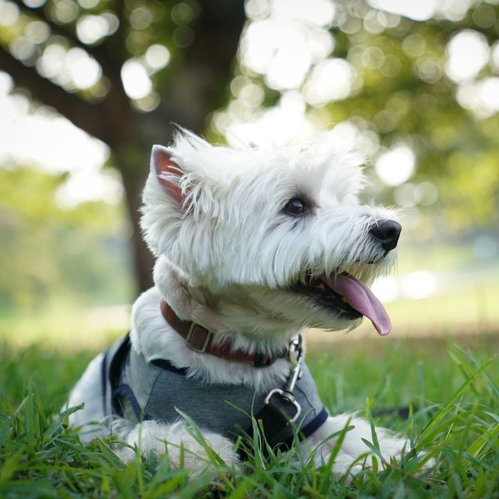 0a0f5b37 e702 409a 969f a1a206707dbd 1533554817490