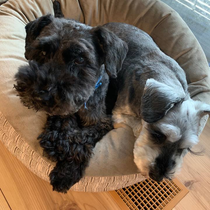 0a0f622a 3003 4f47 9f41 4a54bd8359ff 1688180689376