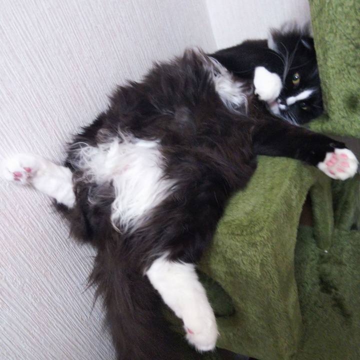 0a0f72c6 cdaf 4323 8fb9 f066307b22cc 1653357537981