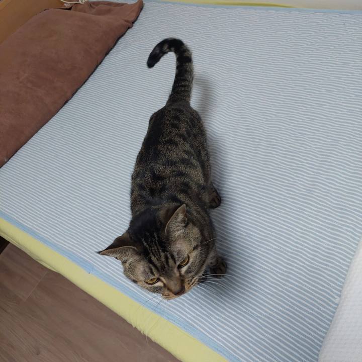 0a0f8070 15fa 4905 a2f6 7efb165d0fd5 1636925151635