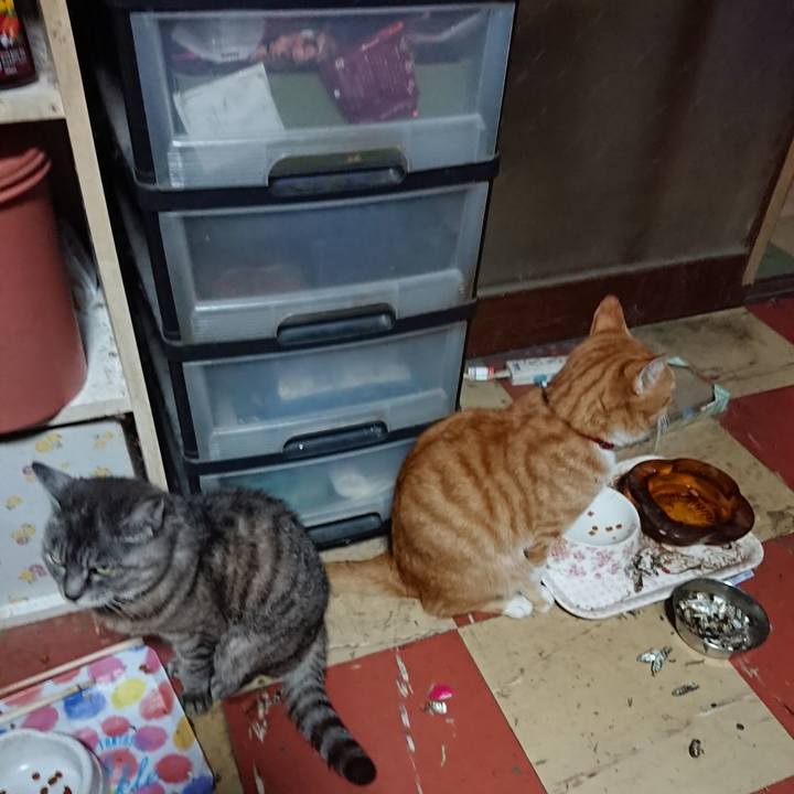 0a0fd98f db7b 4734 ba91 937b8b800b20 1568969910859