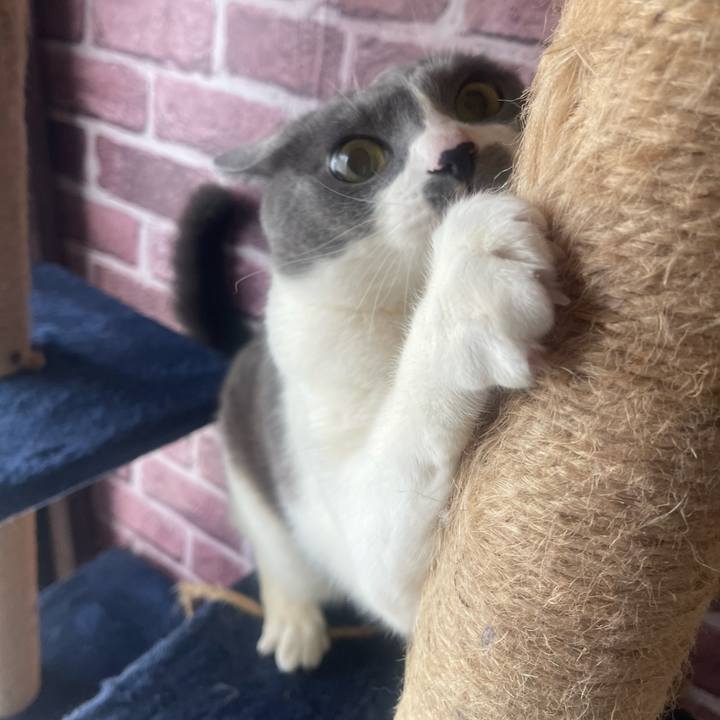 0a0ff2b5 b104 4ff9 a076 777d79dd92b8 1743811462004