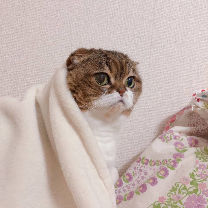 0a0ffbf0 130a 4c57 acb5 60c202394eea 1554829408038