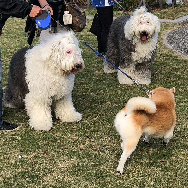 0a100587 0d68 48ea bbbf b36a52056472 1542236042158