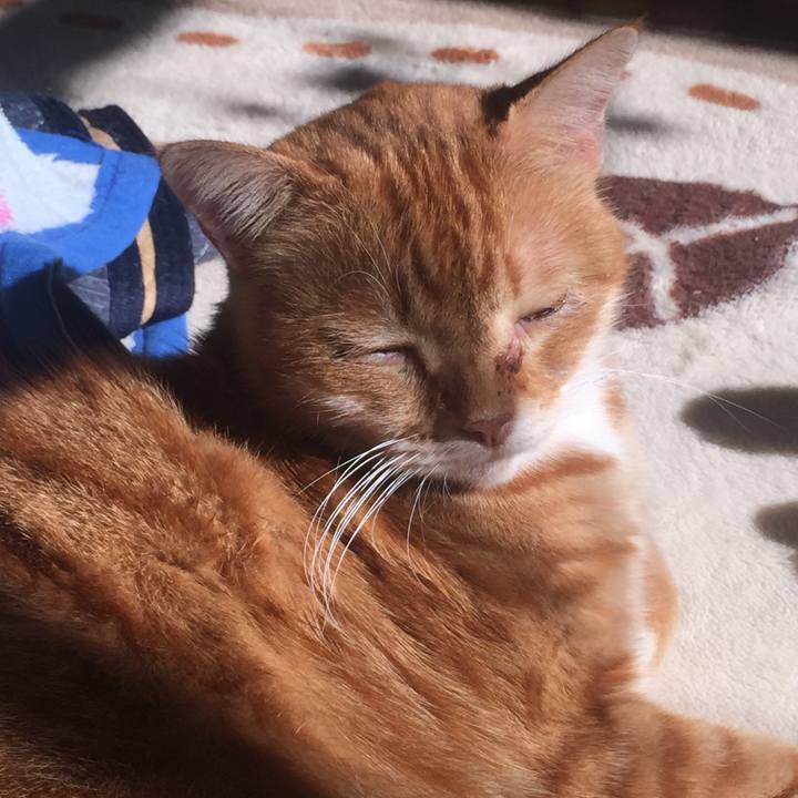 0a106b47 b101 4e28 8c28 00c72fe25bed 1573957460342