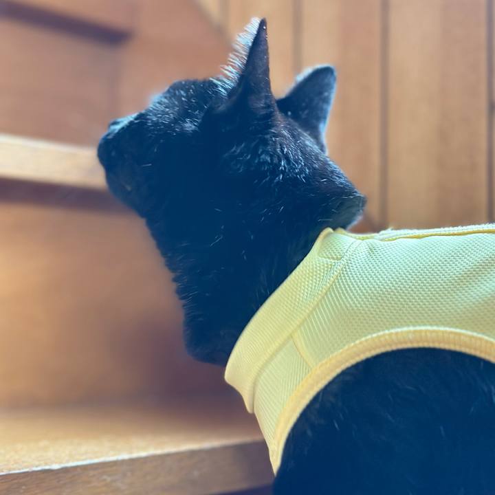 0a106bc7 0e5c 40b1 9c04 8fe4f2692b5b 1714530435074