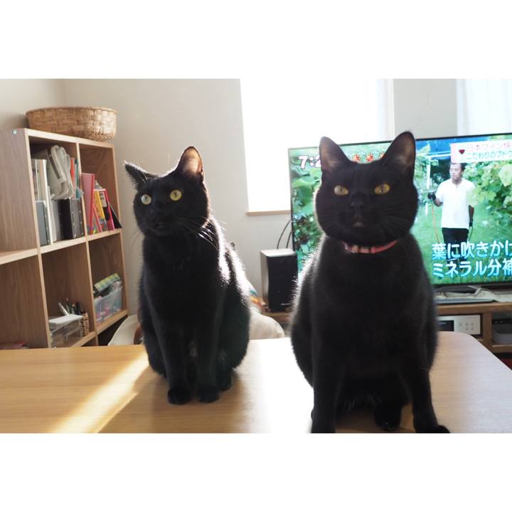 0a10a32d 0edf 429e 9b4c b81f9764d4e1 1542238700543