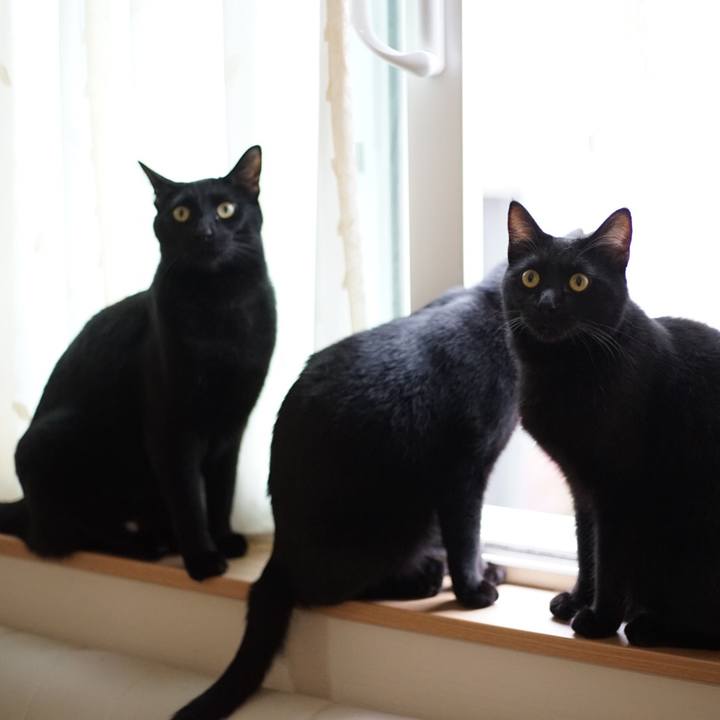 0a10bfbc 6268 4449 99ed 04a66c21bc07 1527551745745