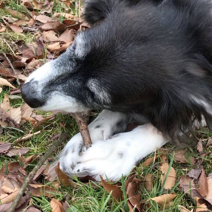 0a10d5df 4feb 4f71 99b5 0f8bec5cdc82 1513231131879