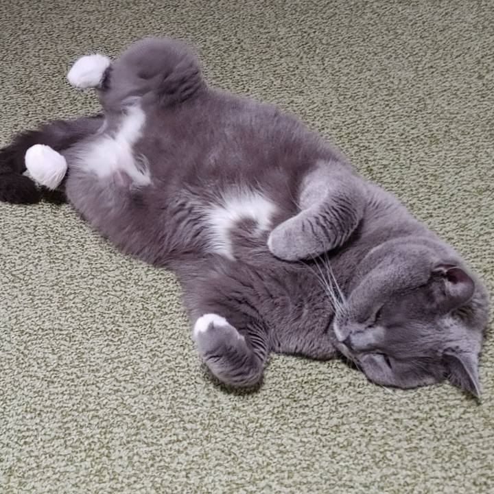 0a10da7d 7941 4470 8657 5cb083ce2c06 1697213960110