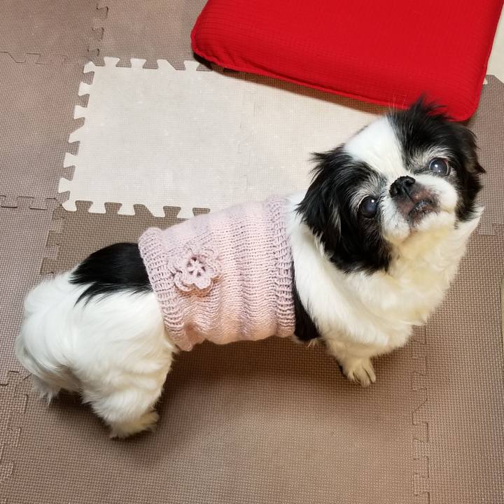 0a10f099 9bad 4bb6 971e 5fb5c7000c87 1579949162090