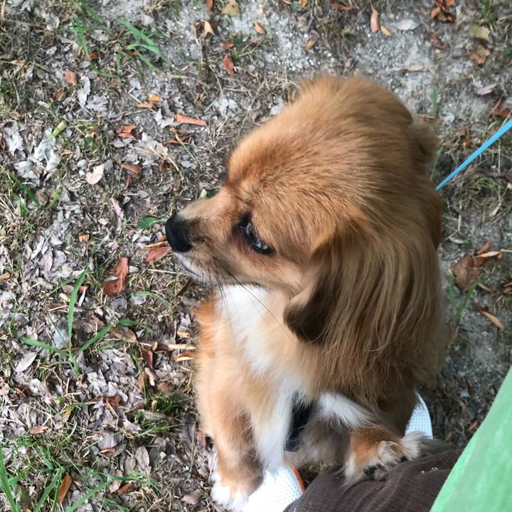 0a1101a5 e65b 426c a81e ebb0d65e029e 1533508270470